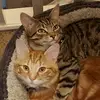 tracy mann - @tracy.mann35 - TikTok