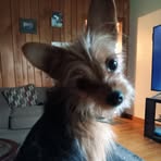 Traci McCormick - Facebook