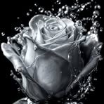 Tracy Mccormick - Facebook