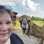 Traci Mills Turner - @turnertraci - Instagram