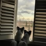 Traci Morgan - @aj5377639 - Instagram