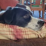 Traci Morton Howes - @mortonhowes - Instagram