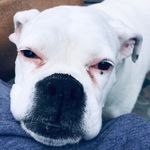 @traci_oconnor2020 - Instagram