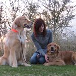 Traci O'Connor Lewis - @traci.ace.fergus - Instagram