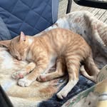 Traci Owens - @towens623 - Instagram