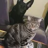 tracipate8 - @jak93128 - TikTok