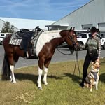 Traci Hurst Payne - @payne.traci - Instagram