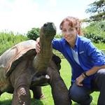 Traci W Potter - @traciwpotter - Instagram