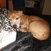 Traci Pratt - Facebook