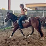 Traci Pratt, Realtor®️ - Solutions Realty, LLC - @its_a_rodeo_thing - Instagram