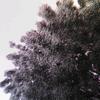 Tracie Presley - @traciepresley204 - TikTok