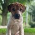 Tracie Rich - Facebook