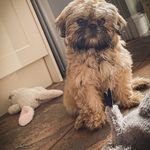 Tracy Rowe - @tracy_rowe49 - Instagram