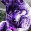 Tracy Salas - @tracy.salas8 - TikTok