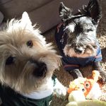 Traci Christner Sasser - @tlc7997 - Instagram