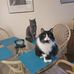 Traci Schmidt - Facebook