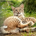 Traci Schmidt - @traci.zawadzki.5 - Instagram