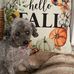 Tracy Schmidt - Facebook