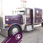 Traci Schneider - Facebook