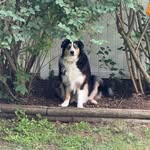 Tracy Schneider Billings - @tracy.schneider.10 - Instagram
