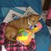 Tracie Schuckers - Facebook