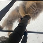 Traci Shannon - @traci__shannon - Instagram