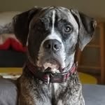Traci Shannon - @traci.shannon.16 - Instagram