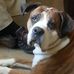 Traci Shannon - Facebook