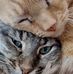 Traci Shaw - Facebook