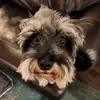 Traci Shaw - @tracishaw2728 - TikTok