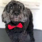 Tracy Shearer - @shearer.tracy - Instagram
