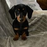 Tracy Shearer - @shearer6949 - Instagram