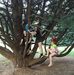 Traci Shepard - Facebook