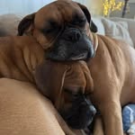 Tracey Shook - @traceyshook73 - Instagram