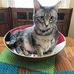 Tracy Shook - Facebook