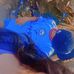 Tracy Silva - Facebook