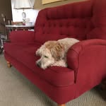 Traci Simpson Van Prooyen - @tracivan2 - Instagram