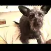 Traci Skinner - @traci.skinner - TikTok