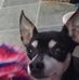 Tracie Skinner - Facebook