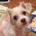 Tracy Bouknight Sloan - Facebook