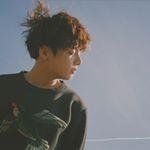 fuka - @traci.south - Instagram