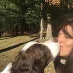 Traci Souza Campbell - @tracisouzacampbell - Instagram