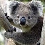 Tracy Spangler - @tracyspangler82 - Instagram