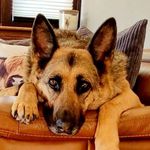 Tracy Spence - @tracyspence - Instagram
