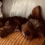 Tracy Stanton - @tracy.stanton.98 - Instagram