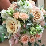 Traci Stephens - @flowers_bytraci - Instagram