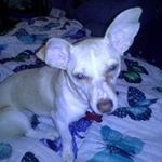 Traci Stephens - @tracistephens61 - Instagram