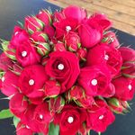 Traci Stephens - @flowers_by_traci_llc - Instagram