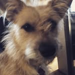 Traci Stromenger - @stromengertraci - Instagram