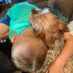 Traci Phillips Studer - @traci_studer - Instagram